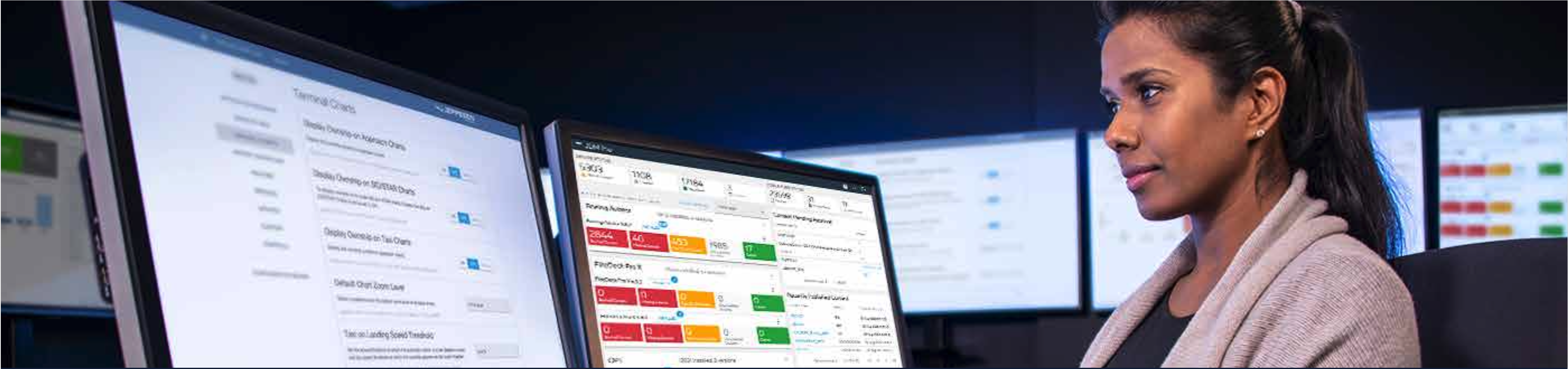 JDM Pro interface on multiple monitors