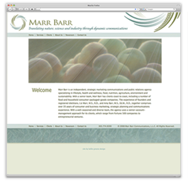 Marr Barr homepage